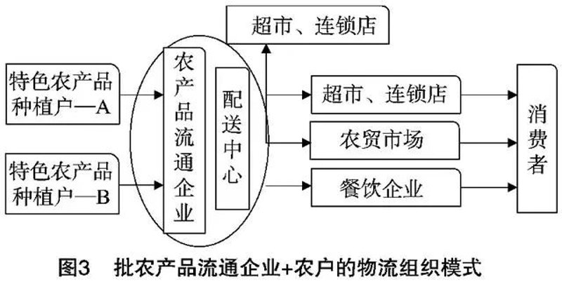 农产品供应链管理：搭建现代农业的桥梁