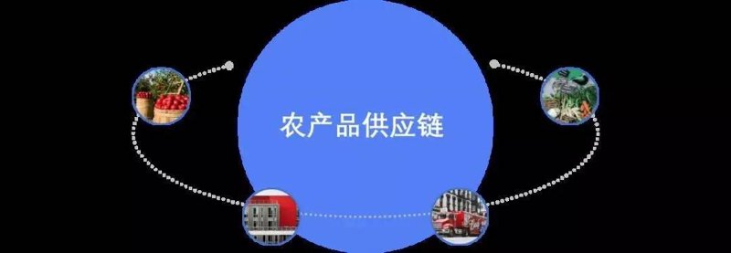 农产品代采行业洞察:寻找优质源头